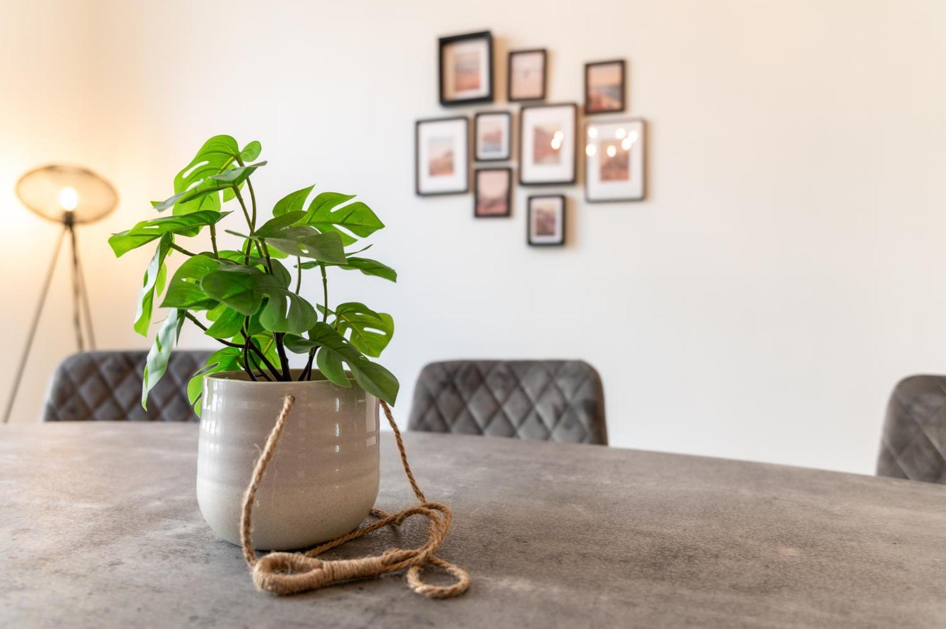 Beautiful Renovated Apartment In An Authentic Building Остенде Екстериор снимка